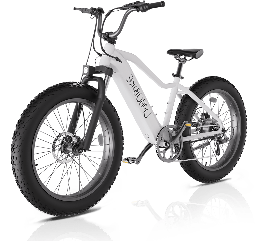 Imagem promocional explicando \'Por que escolher Linbo Bikes?\'destacando os benefícios e recursos exclusivos das bicicletas elétricas da Linbo Transportation Tech.